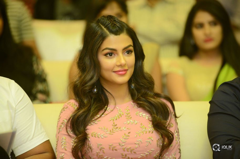 Okkadu-Migiladu-Movie-Pre-Release-Function